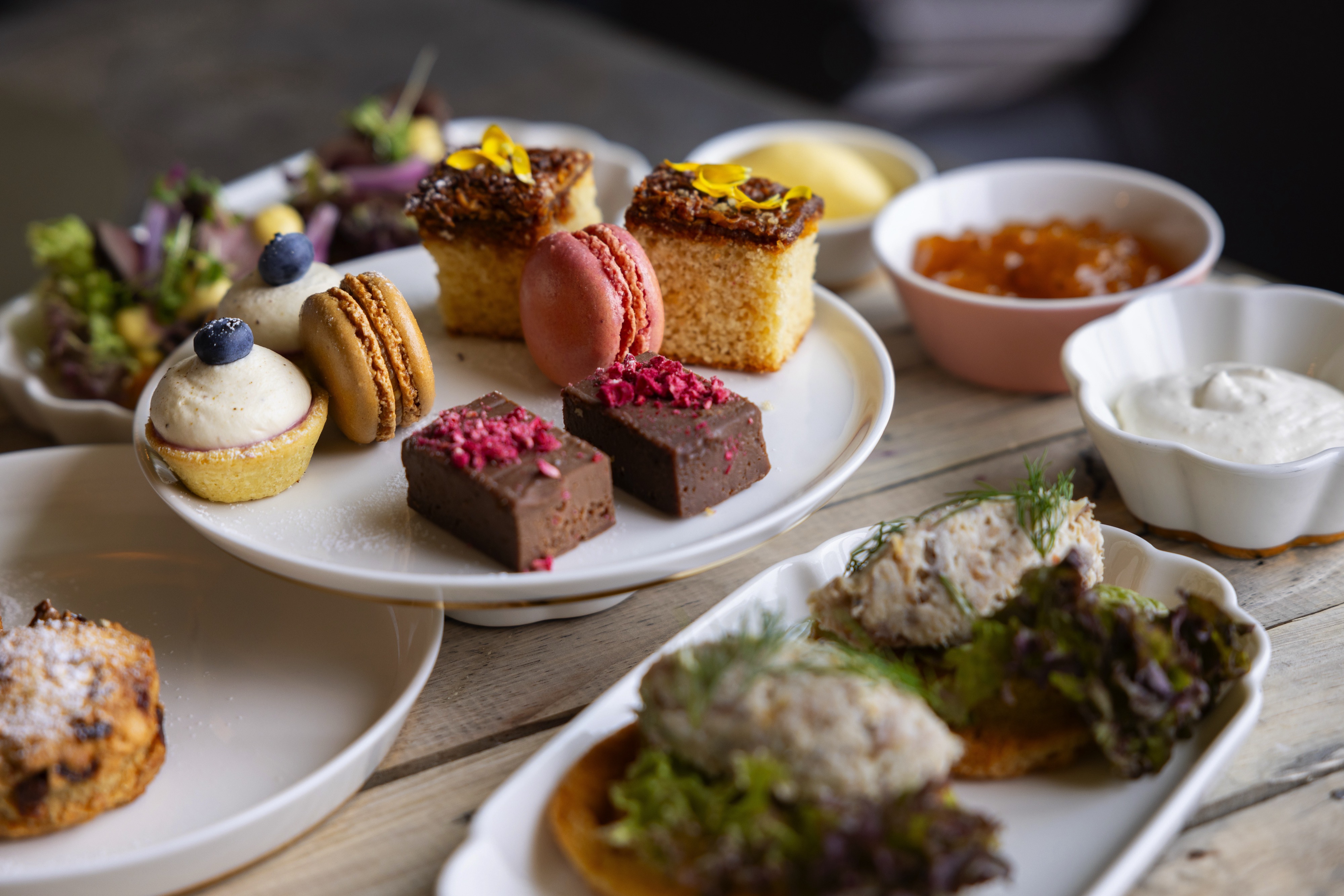 MS Trollfjord - Røst - Arctic Fine Dining 